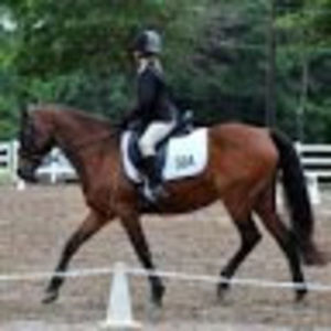 Meet your Posher, Anna